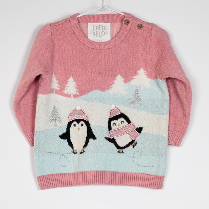 3-6M
Skating Penguins Jumper